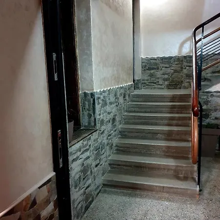 Spot
